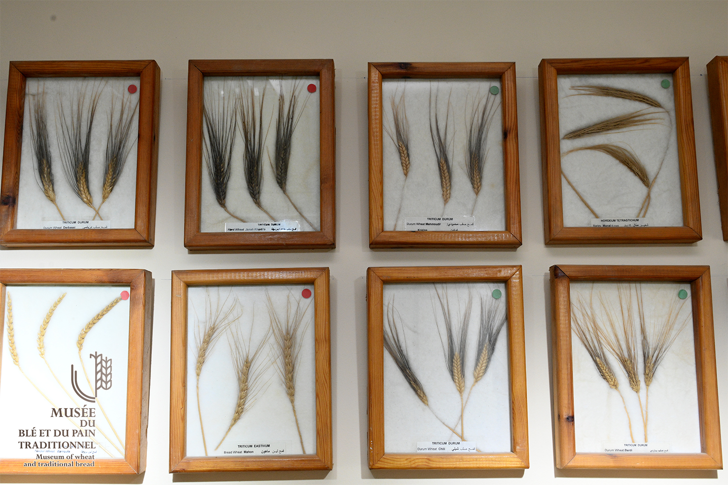 Musée du pain - photo 6